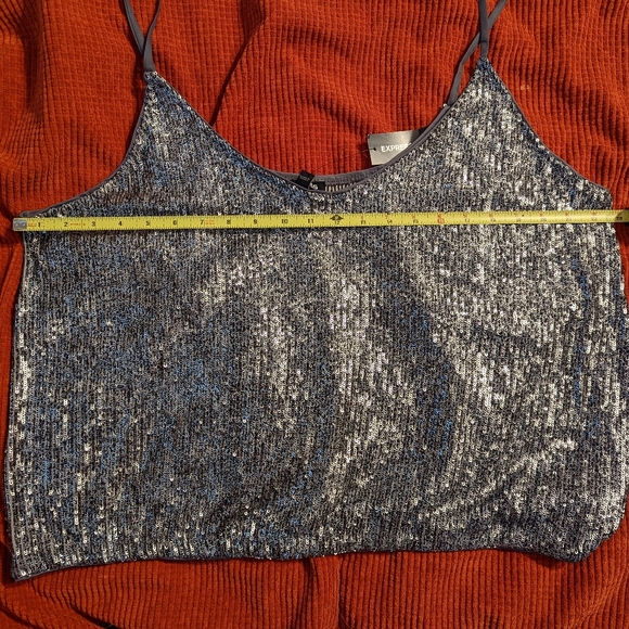 Express Sequin V-Neck Cami - Picture 3 of 4
